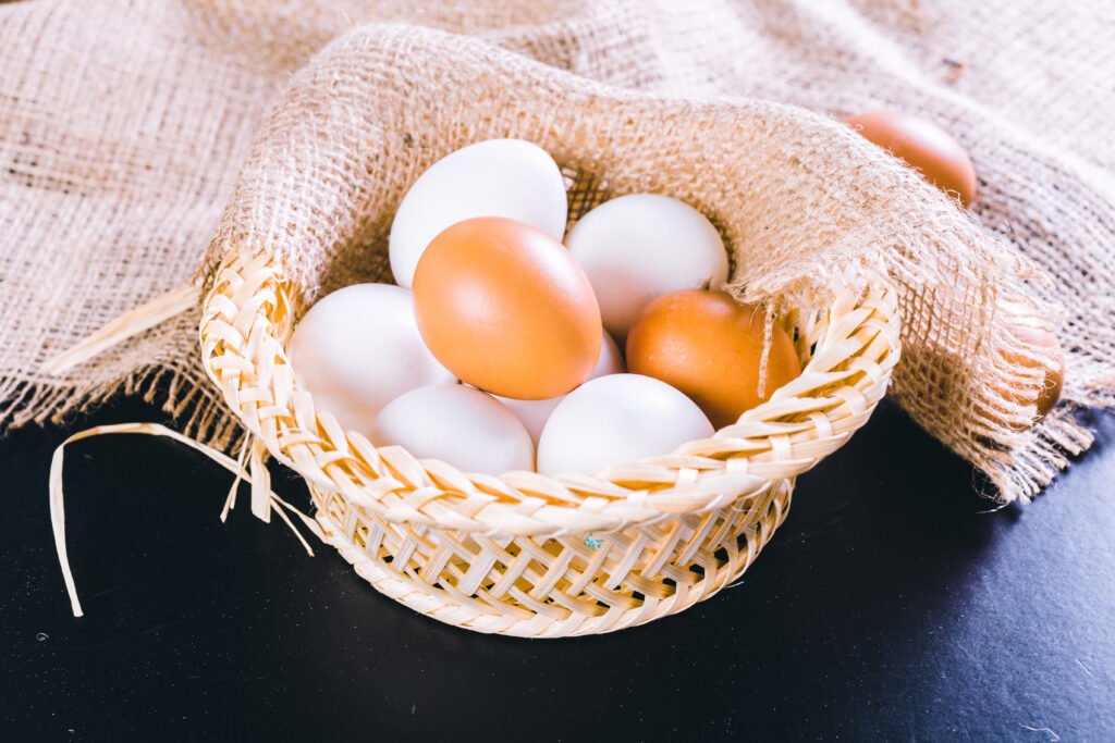 No Jump, No Fall — Just Good Energy All Day